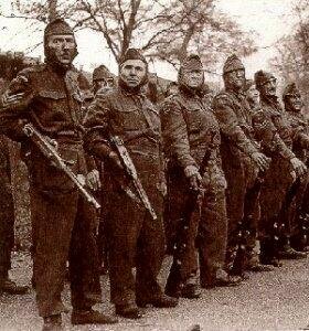 The home guard